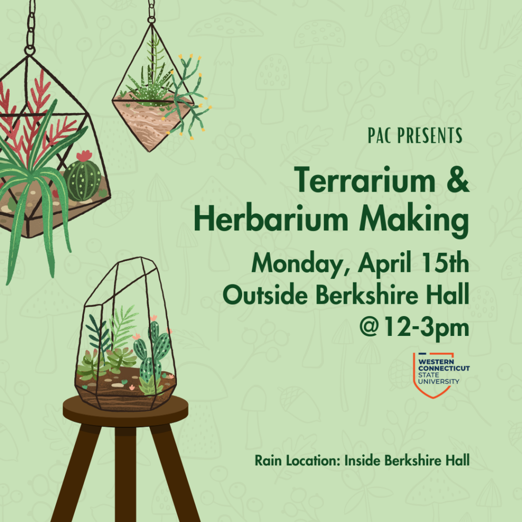 terrarium and herbarium making
